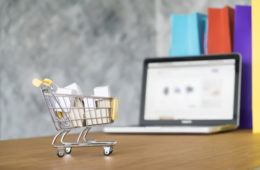 Ideabright Catalog Management